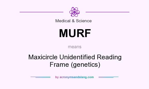 What does MURF mean? It stands for Maxicircle Unidentified Reading Frame (genetics)