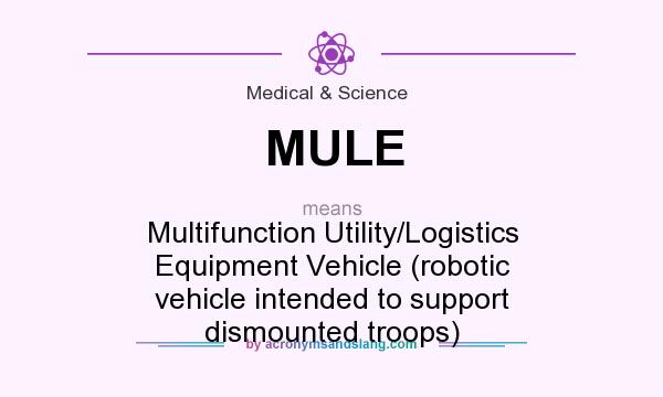 What does MULE mean? It stands for Multifunction Utility/Logistics Equipment Vehicle (robotic vehicle intended to support dismounted troops)