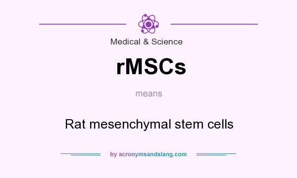 What does rMSCs mean? It stands for Rat mesenchymal stem cells
