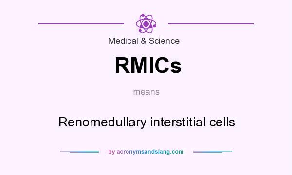 What does RMICs mean? It stands for Renomedullary interstitial cells