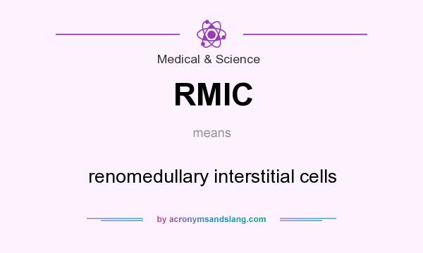 What does RMIC mean? It stands for renomedullary interstitial cells
