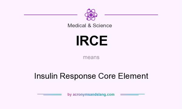What does IRCE mean? It stands for Insulin Response Core Element