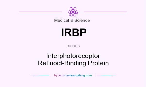 What does IRBP mean? It stands for Interphotoreceptor Retinoid-Binding Protein
