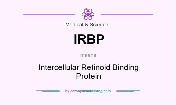 What does IRBP mean? It stands for Intercellular Retinoid Binding Protein