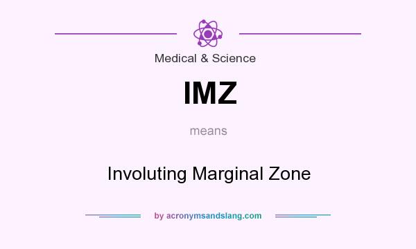What does IMZ mean? It stands for Involuting Marginal Zone