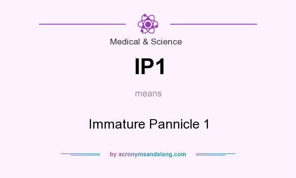 What does IP1 mean? It stands for Immature Pannicle 1