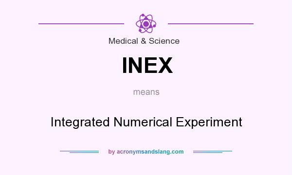 What does INEX mean? It stands for Integrated Numerical Experiment