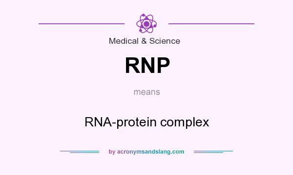 What does RNP mean? It stands for RNA-protein complex