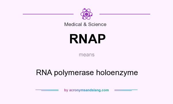 What does RNAP mean? It stands for RNA polymerase holoenzyme