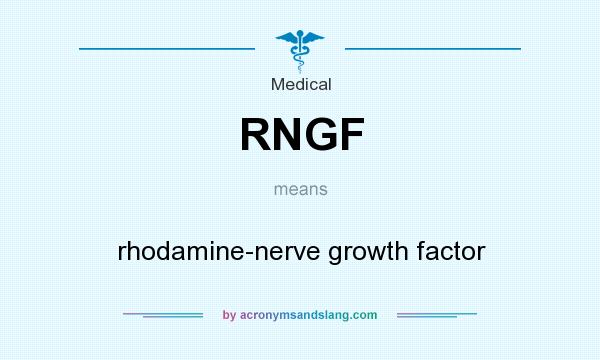 What does RNGF mean? It stands for rhodamine-nerve growth factor