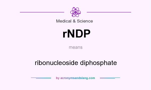 What does rNDP mean? It stands for ribonucleoside diphosphate