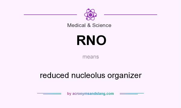 What does RNO mean? It stands for reduced nucleolus organizer
