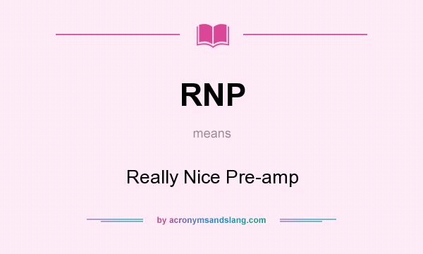 What does RNP mean? It stands for Really Nice Pre-amp