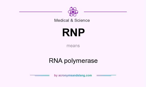 What does RNP mean? It stands for RNA polymerase