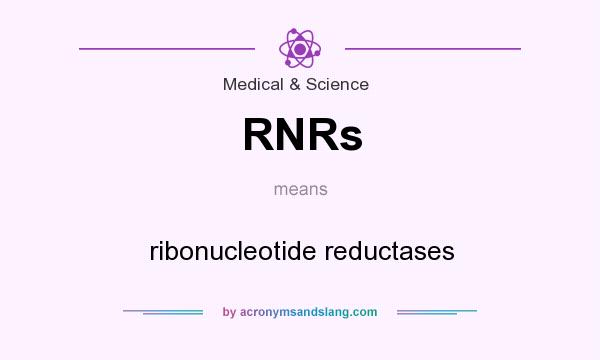 What does RNRs mean? It stands for ribonucleotide reductases