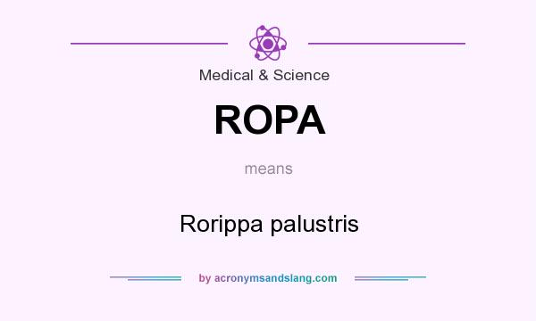 What does ROPA mean? It stands for Rorippa palustris