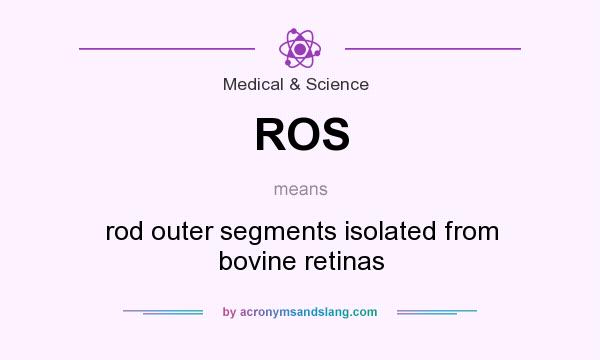 What does ROS mean? It stands for rod outer segments isolated from bovine retinas