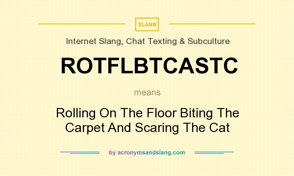 What does ROTFLBTCASTC mean? It stands for Rolling On The Floor Biting The Carpet And Scaring The Cat