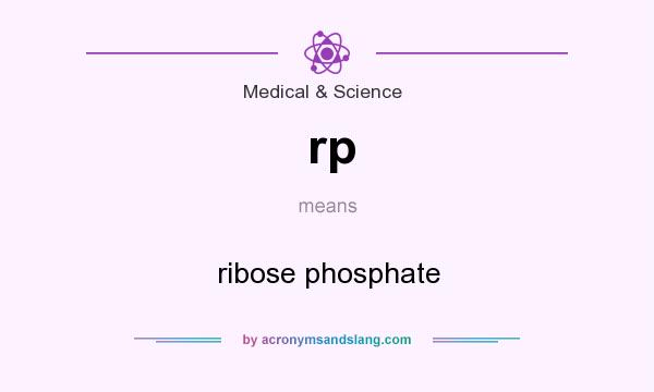 What does rp mean? It stands for ribose phosphate