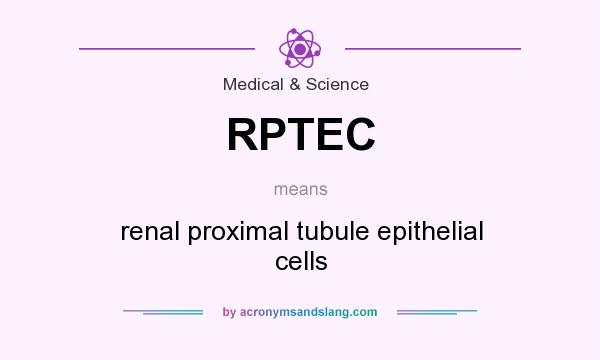 What does RPTEC mean? It stands for renal proximal tubule epithelial cells