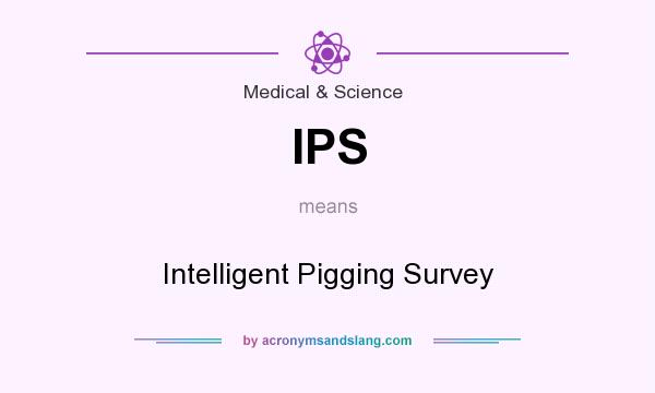 What does IPS mean? It stands for Intelligent Pigging Survey