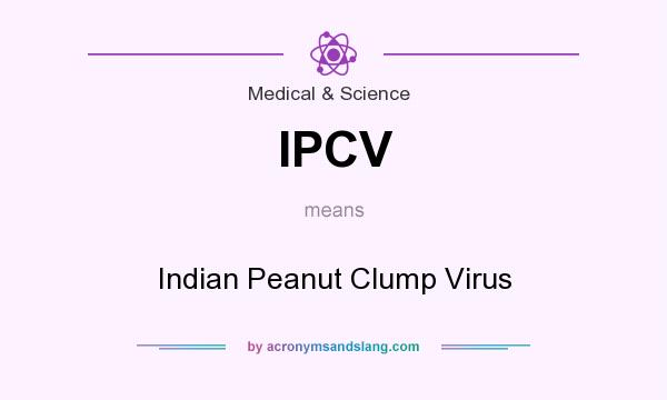 What does IPCV mean? It stands for Indian Peanut Clump Virus