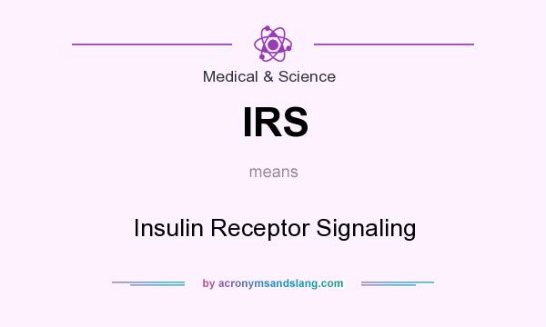 What does IRS mean? It stands for Insulin Receptor Signaling
