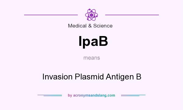 What does IpaB mean? It stands for Invasion Plasmid Antigen B