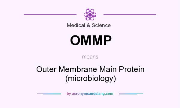 What does OMMP mean? It stands for Outer Membrane Main Protein (microbiology)