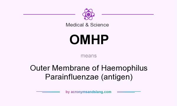 What does OMHP mean? It stands for Outer Membrane of Haemophilus Parainfluenzae (antigen)