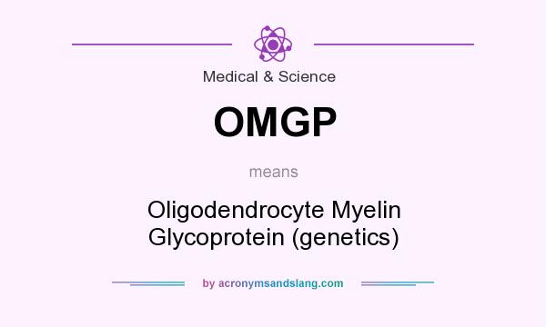 What does OMGP mean? It stands for Oligodendrocyte Myelin Glycoprotein (genetics)