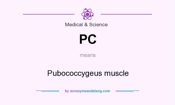 What does PC mean? It stands for Pubococcygeus muscle