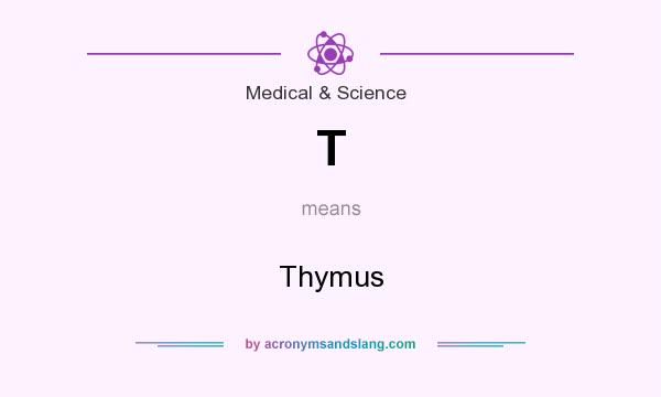 What does T mean? It stands for Thymus