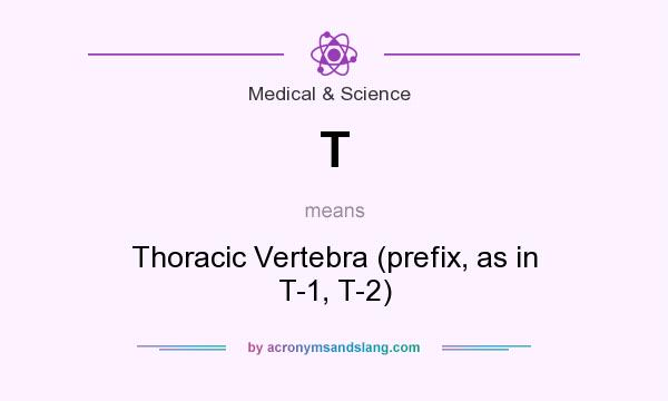 What does T mean? It stands for Thoracic Vertebra (prefix, as in T-1, T-2)