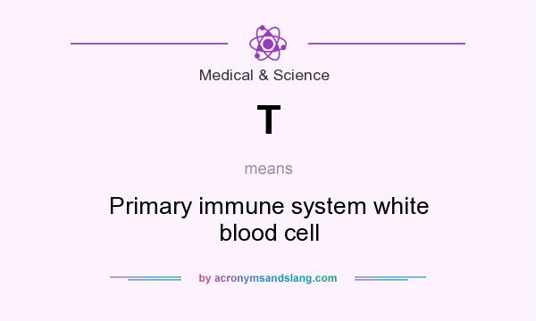What does T mean? It stands for Primary immune system white blood cell