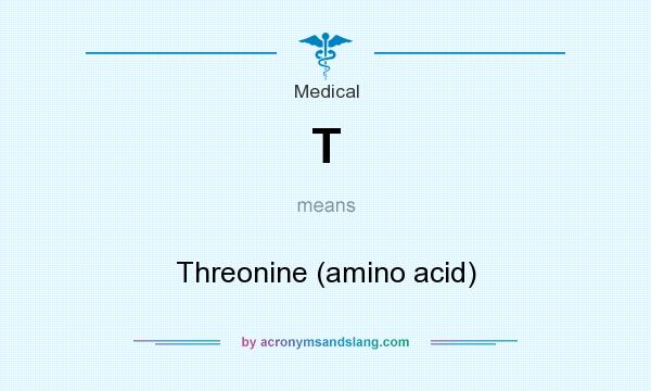 What does T mean? It stands for Threonine (amino acid)
