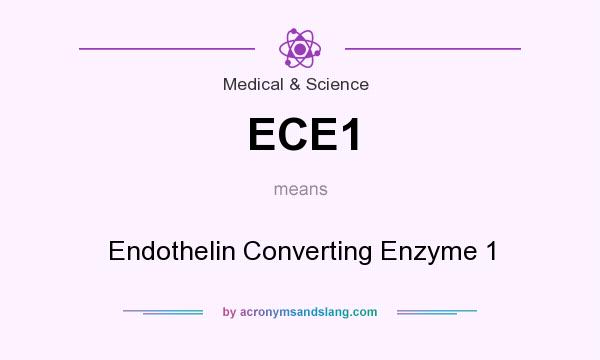 What does ECE1 mean? It stands for Endothelin Converting Enzyme 1