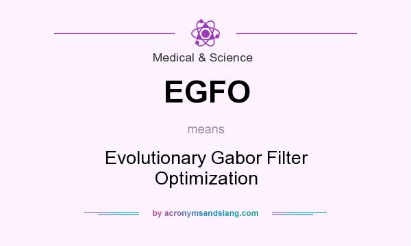 What does EGFO mean? It stands for Evolutionary Gabor Filter Optimization