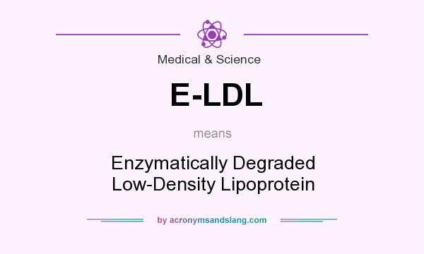 What does E-LDL mean? It stands for Enzymatically Degraded Low-Density Lipoprotein