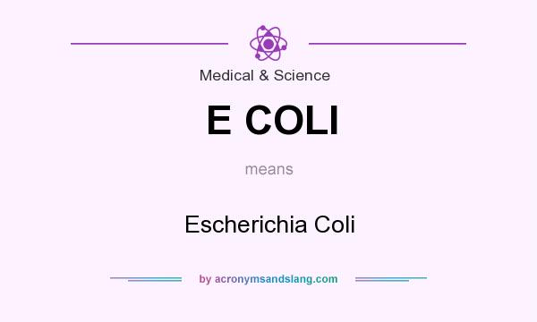 What does E COLI mean? It stands for Escherichia Coli