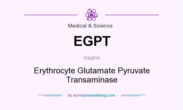 What does EGPT mean? It stands for Erythrocyte Glutamate Pyruvate Transaminase