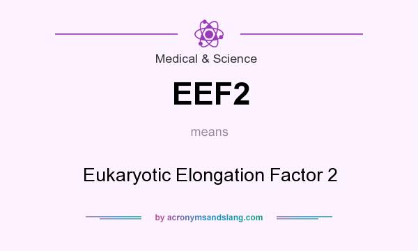 What does EEF2 mean? It stands for Eukaryotic Elongation Factor 2