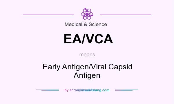 What does EA/VCA mean? It stands for Early Antigen/Viral Capsid Antigen