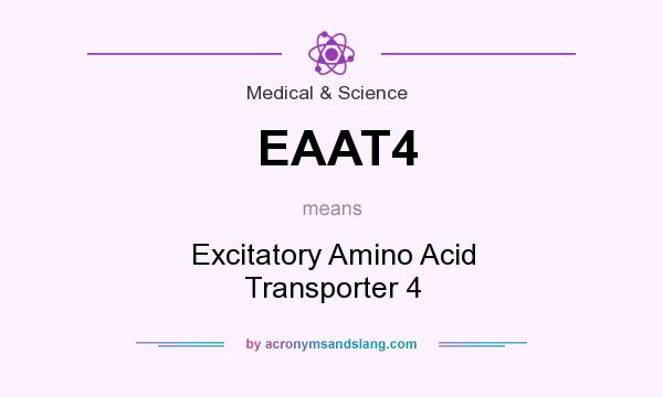 What does EAAT4 mean? It stands for Excitatory Amino Acid Transporter 4