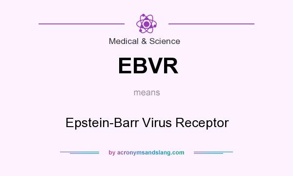 What does EBVR mean? It stands for Epstein-Barr Virus Receptor