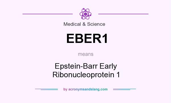 What does EBER1 mean? It stands for Epstein-Barr Early Ribonucleoprotein 1