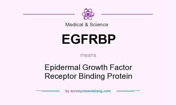 What does EGFRBP mean? It stands for Epidermal Growth Factor Receptor Binding Protein