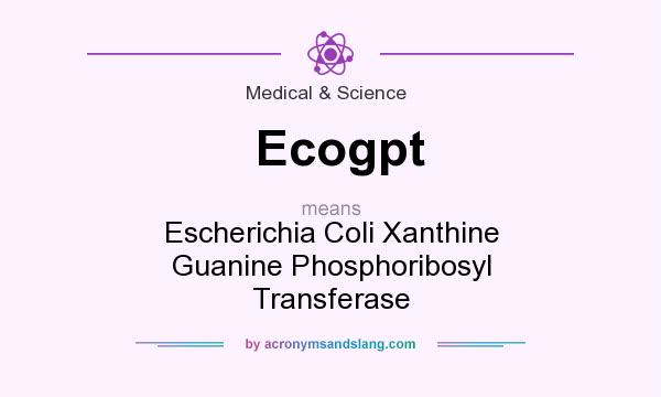 What does Ecogpt mean? It stands for Escherichia Coli Xanthine Guanine Phosphoribosyl Transferase