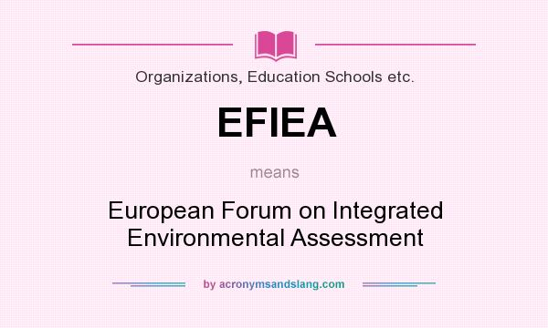 What does EFIEA mean? It stands for European Forum on Integrated Environmental Assessment