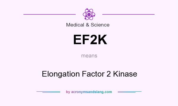 What does EF2K mean? It stands for Elongation Factor 2 Kinase